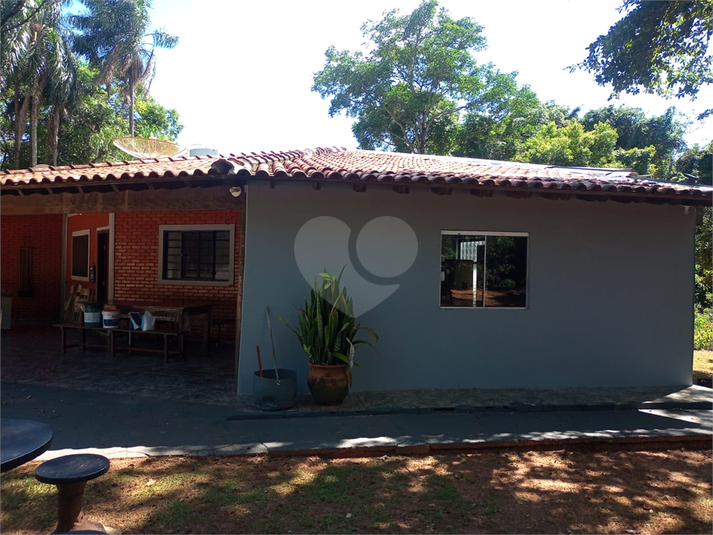 Foto REO779486