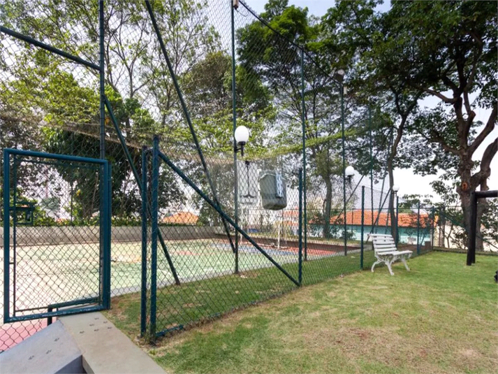 Foto REO779628