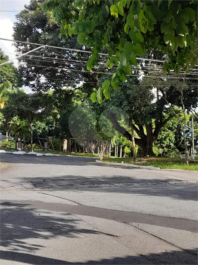 Foto REO779885