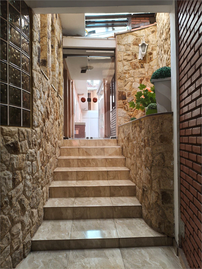 Foto REO780149