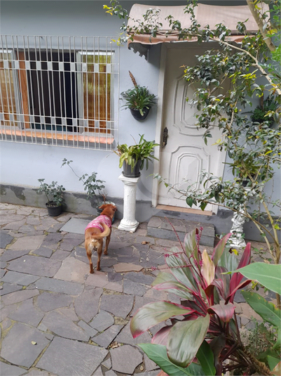 Venda Casa Gravataí Mato Alto REO780350 25