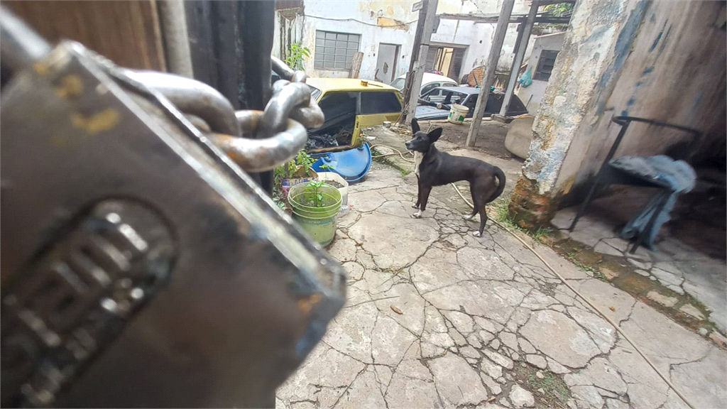 Venda Terreno São Paulo Parque Casa De Pedra REO780351 15