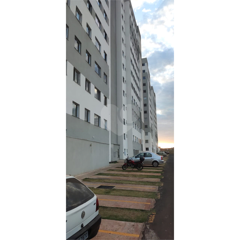 Venda Apartamento Uberlândia Jardim Canaã REO780446 6