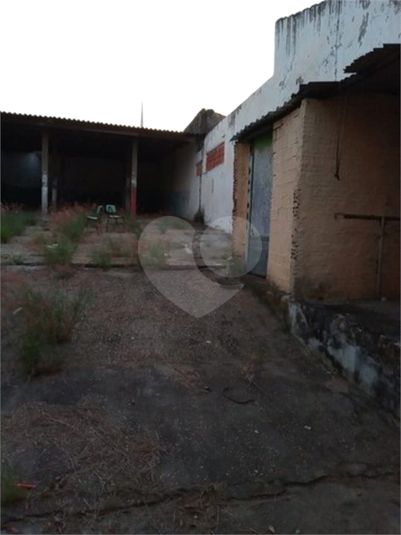 Foto REO780562