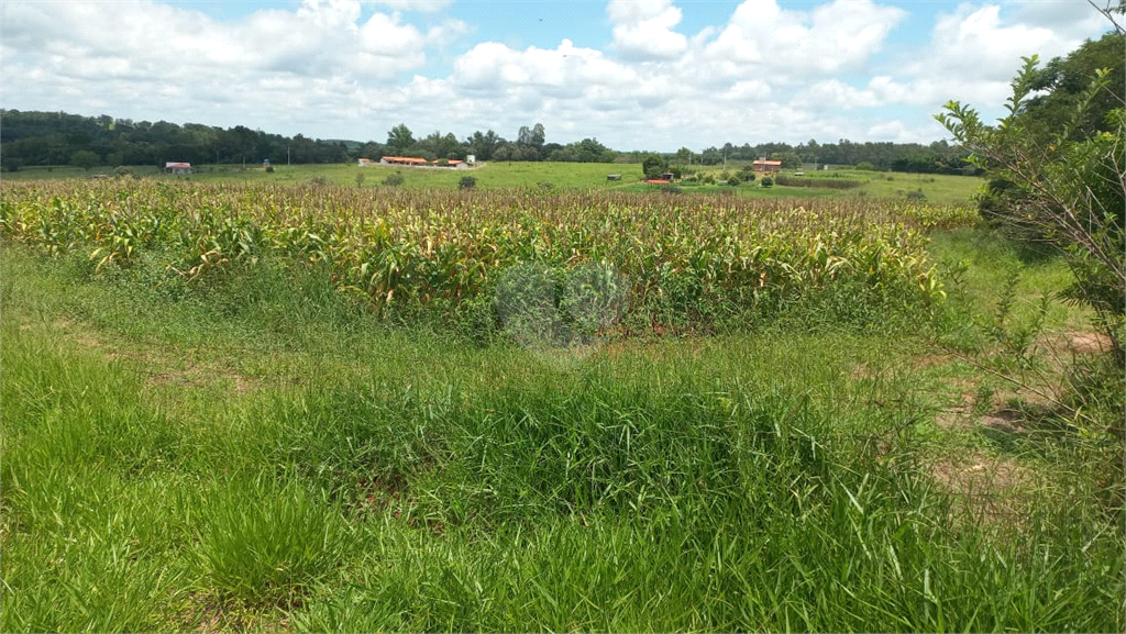 Venda Sítio Piratininga Área Rural De Piratininga REO780739 1