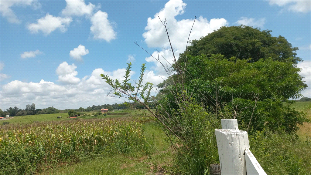 Venda Sítio Piratininga Área Rural De Piratininga REO780739 2