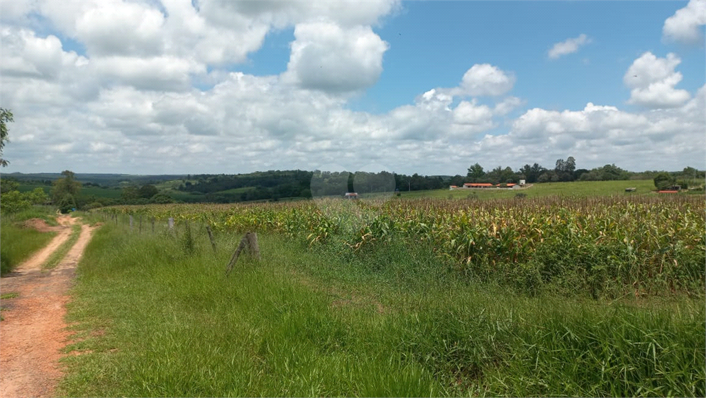 Venda Sítio Piratininga Área Rural De Piratininga REO780739 8