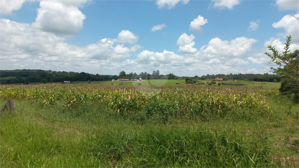 Venda Sítio Piratininga Área Rural De Piratininga REO780739 10