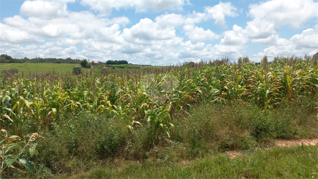 Venda Sítio Piratininga Área Rural De Piratininga REO780739 9