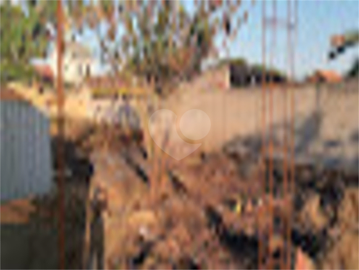 Foto REO781198