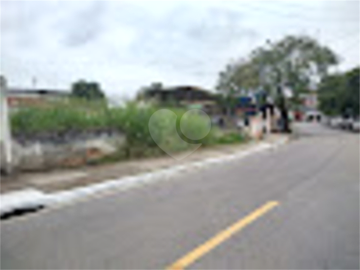 Foto REO781244