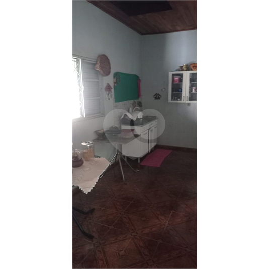 Foto REO782466