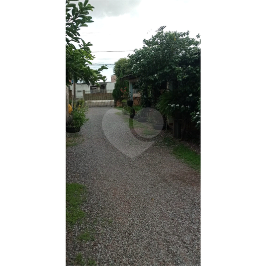 Foto REO782466