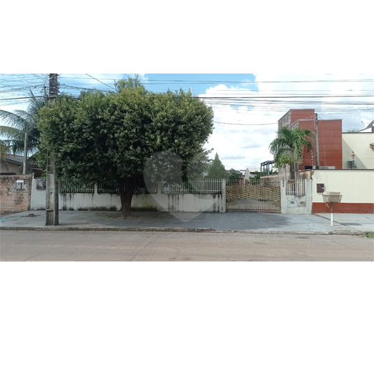 Foto REO782466