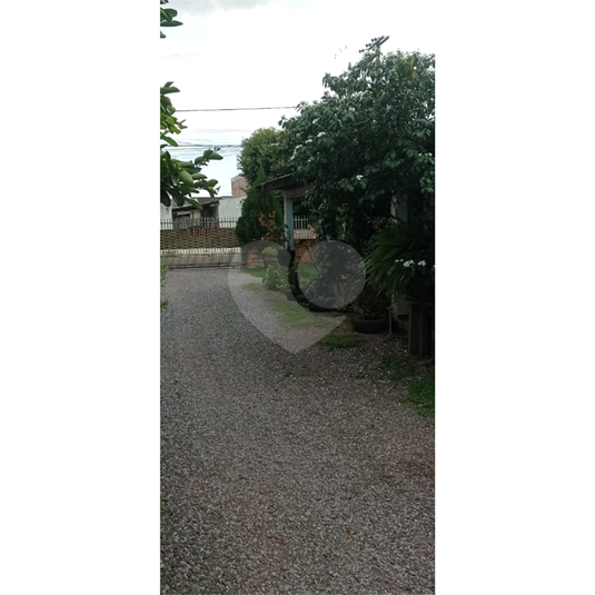 Foto REO782466