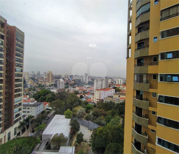 Foto REO782630