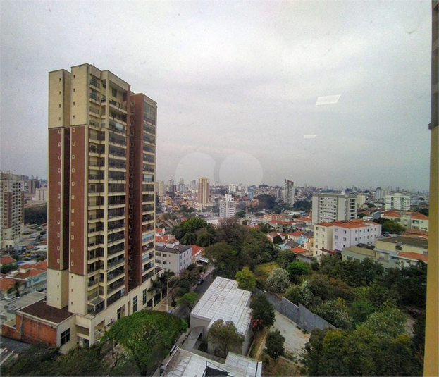 Foto REO782630