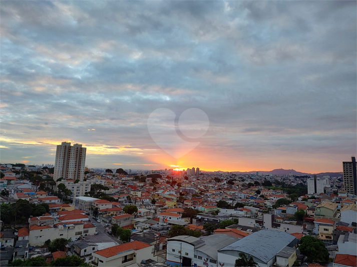 Foto REO782802