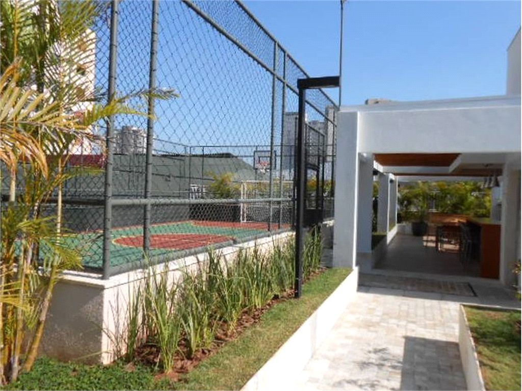 Venda Apartamento São Paulo Cambuci REO782971 12