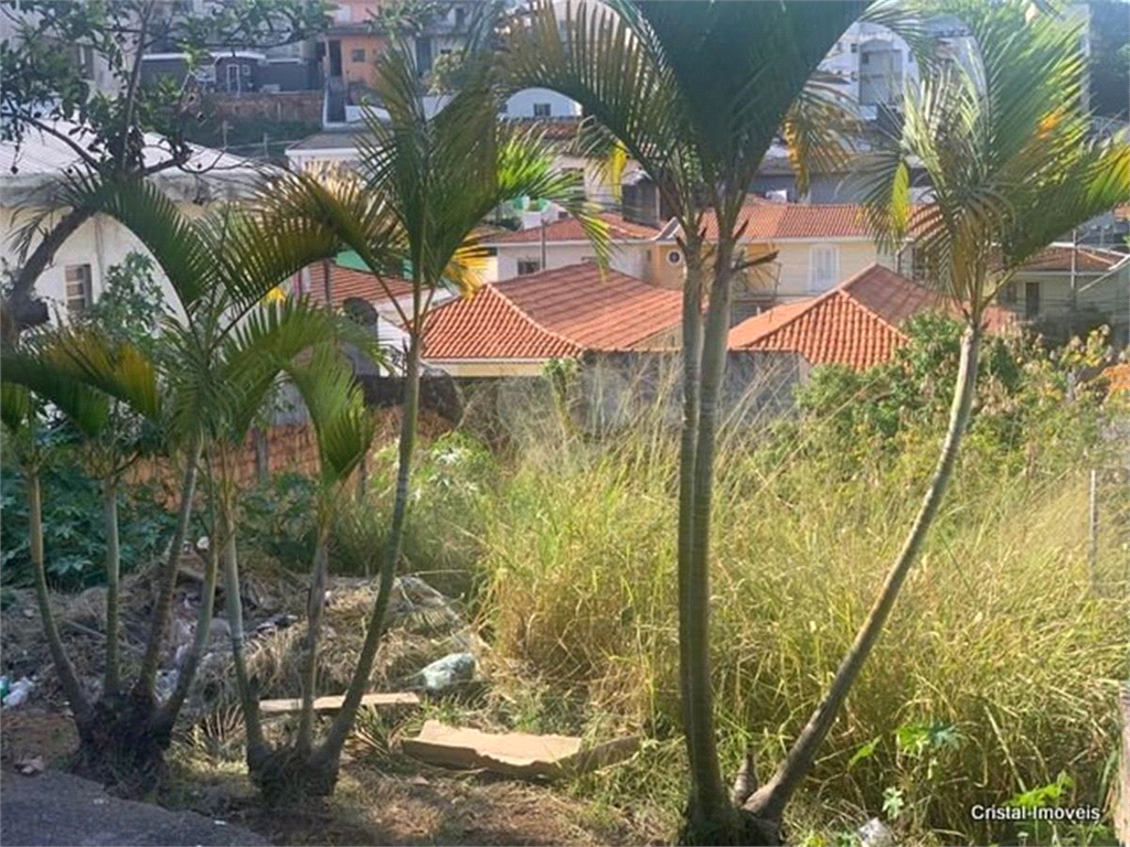 Venda Terreno São Paulo Jardim Bonfiglioli REO78316 5