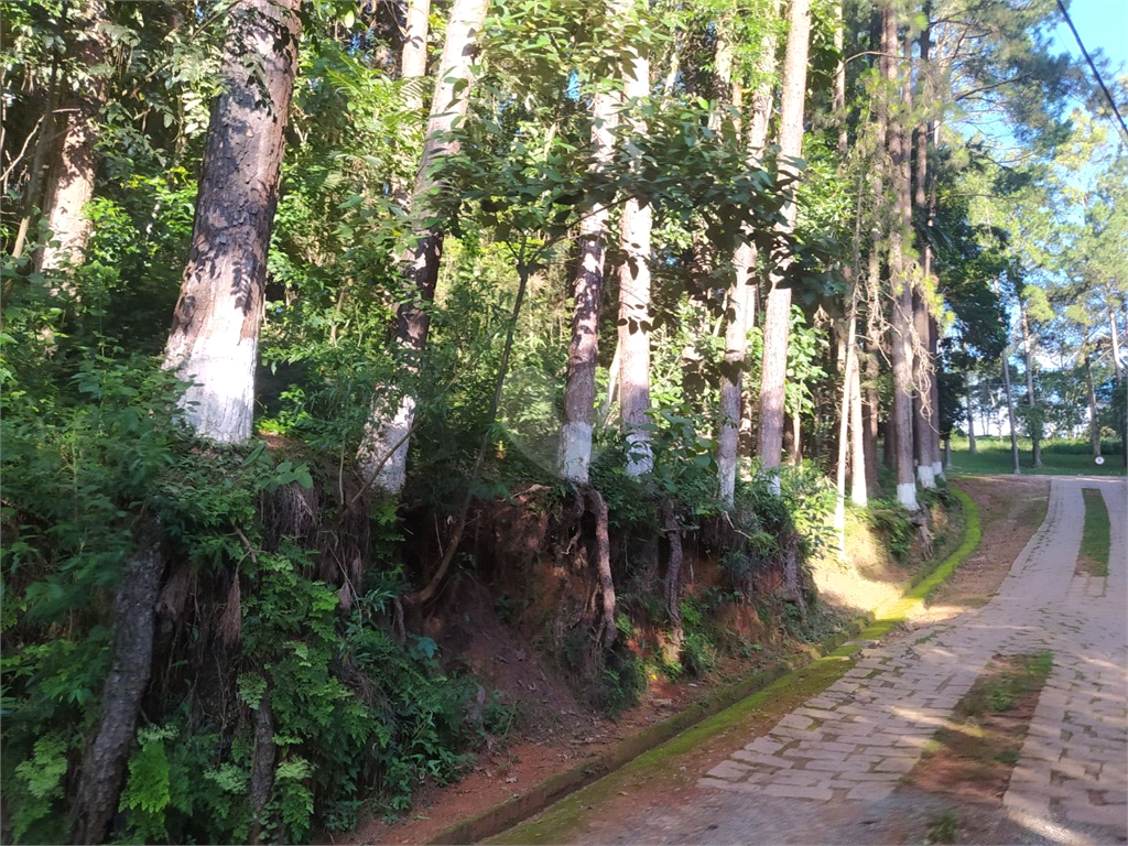 Venda Terreno São Roque Centro (mailasqui) REO783172 5