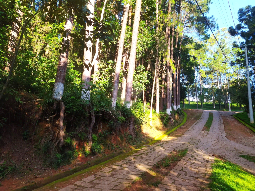 Venda Terreno São Roque Centro (mailasqui) REO783172 4