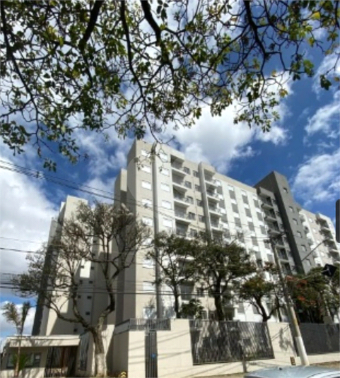 Aluguel Apartamento São Paulo Parque Da Mooca REO783348 1