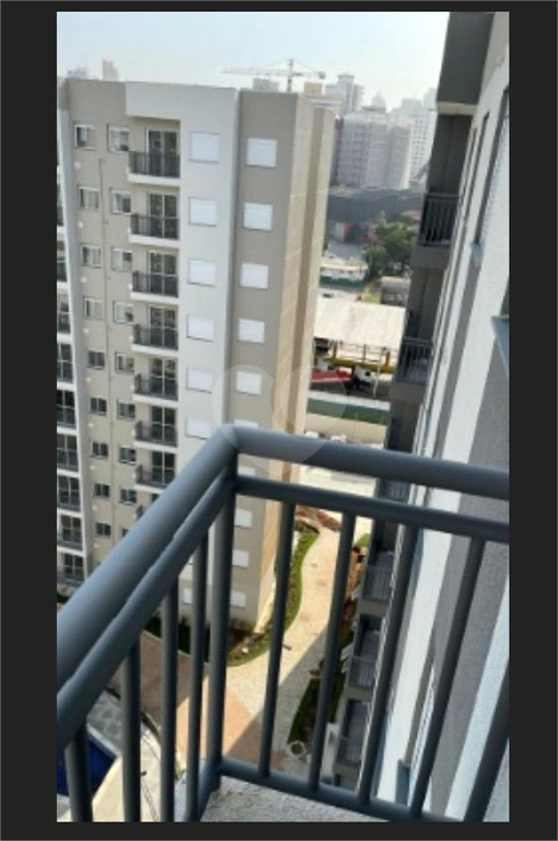 Foto REO783348