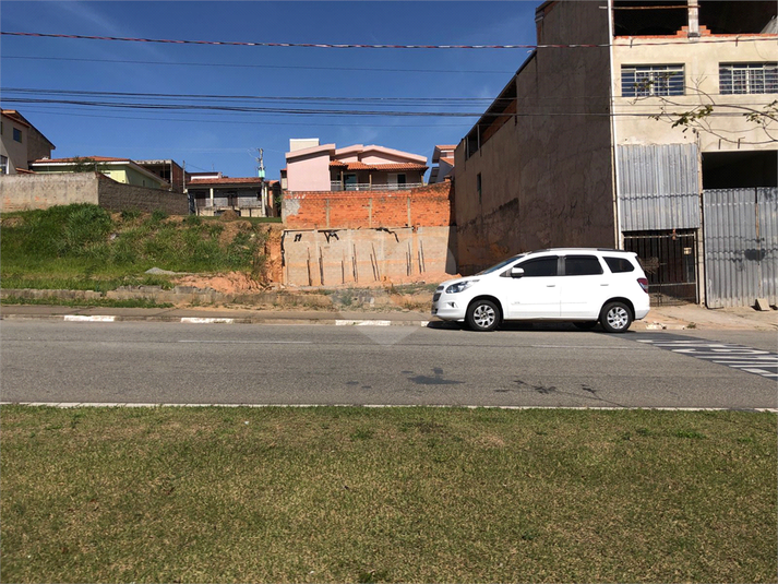 Foto REO783529