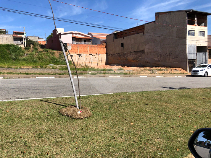 Foto REO783529