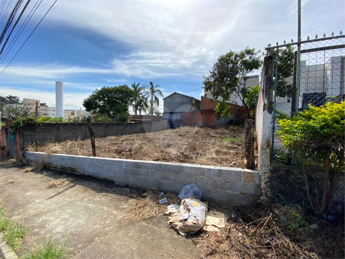 Foto REO783542