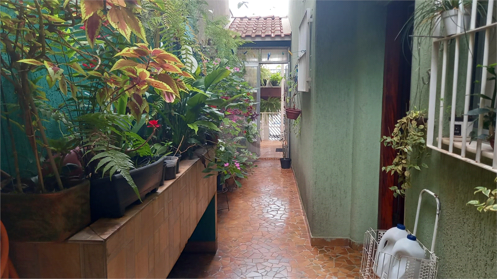 Venda Sobrado São Paulo Vila Mangalot REO783582 17