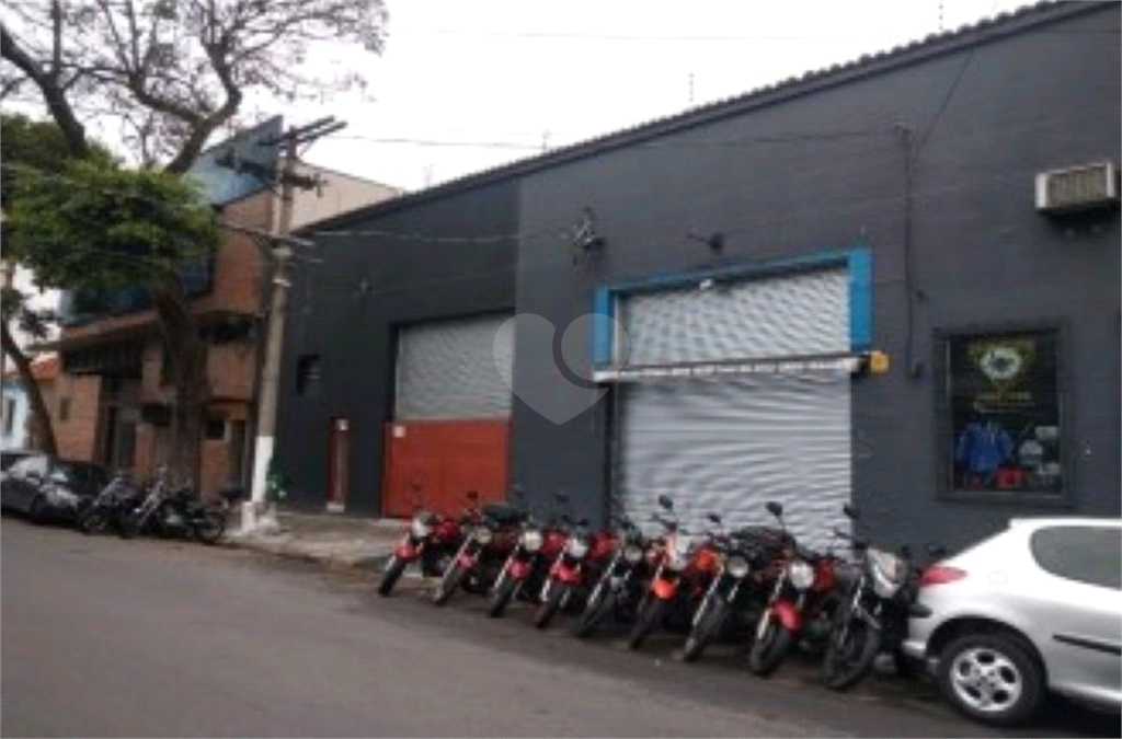 Aluguel Prédio inteiro São Paulo Bom Retiro REO783669 12