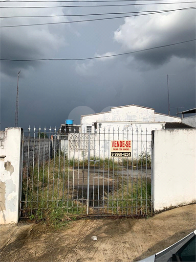Foto REO783716