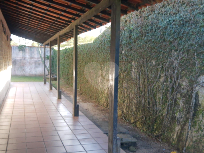 Foto REO783923