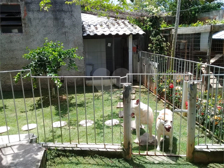 Foto REO784261