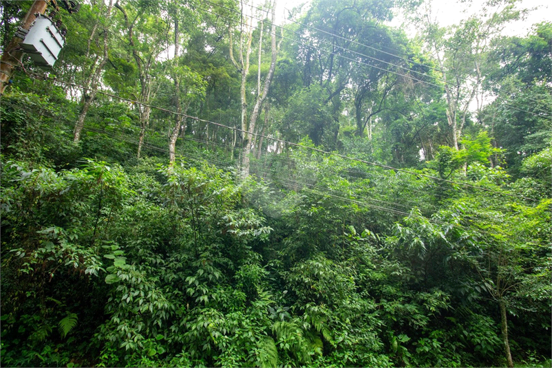 Venda Terreno São Roque Vila Santo Antônio REO784296 9