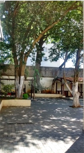 Foto REO784499
