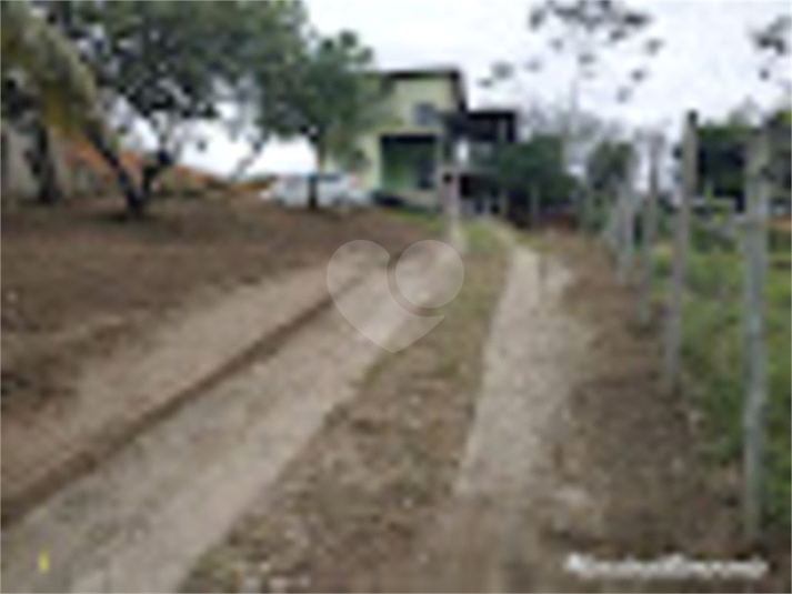 Foto REO784861