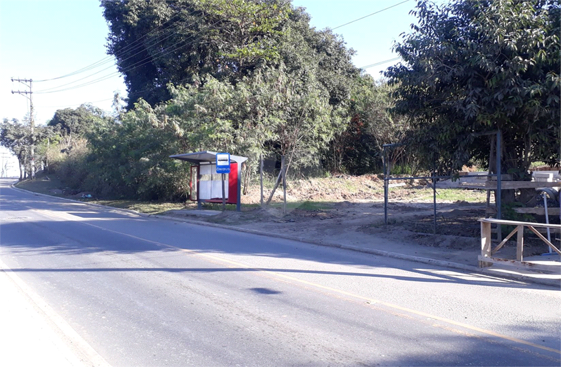 Foto REO784891
