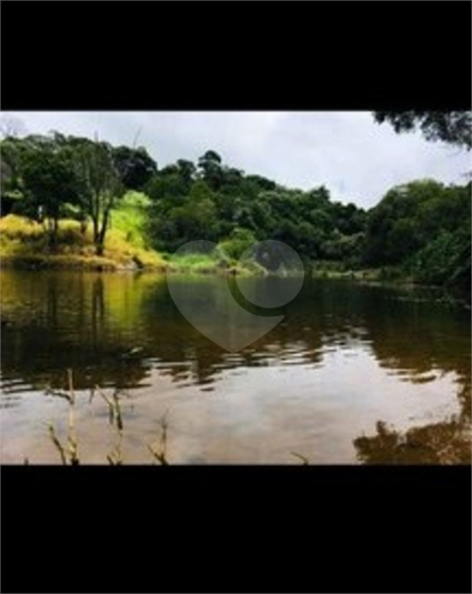 Foto REO785084