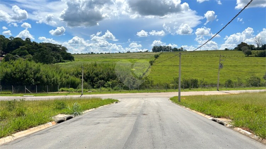 Foto REO785127