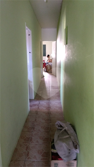 Foto REO785187