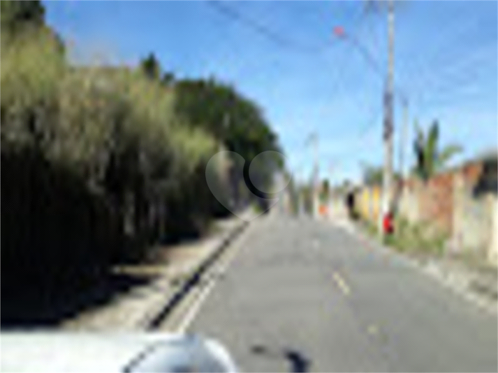 Foto REO785242