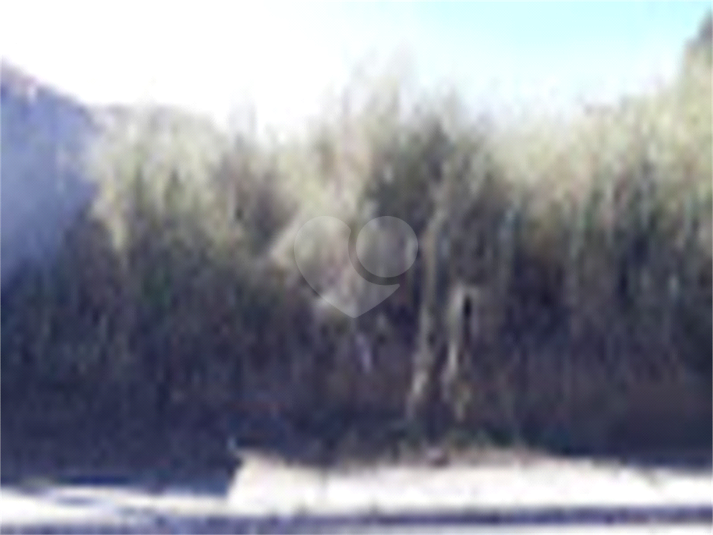 Foto REO785242