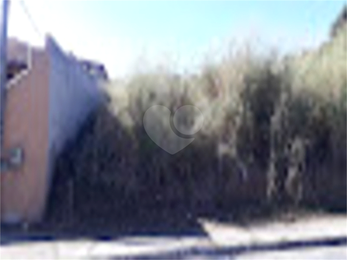 Foto REO785242