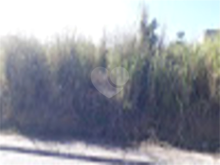 Foto REO785242