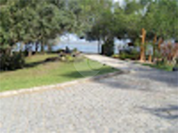 Foto REO785471