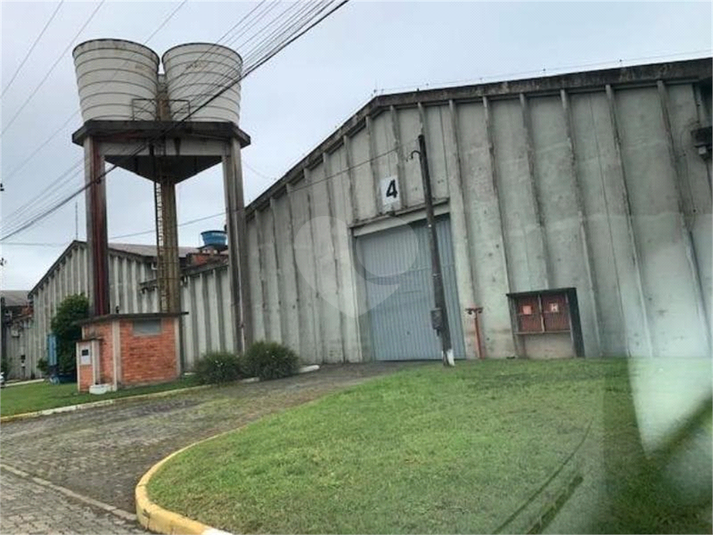 Foto REO785670