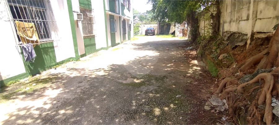 Foto REO785754